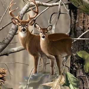 Meet your Posher, Gary